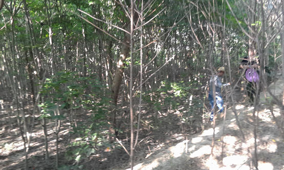 �ϳ����_�^�������ո�������������������c��������������c���Ŀ