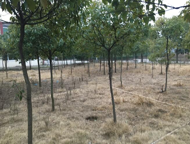 **���޹�˾���е�λ�ڮ�Ϳ�h**�(zh��n)���I(y��)�@���ڹ��I(y��)�õ������a(ch��n)���������C���a(ch��n)���o�C���a(ch��n)��������������ľ���k����Ʒ���O(sh��)�估ģ���Ј��rֵ�u��