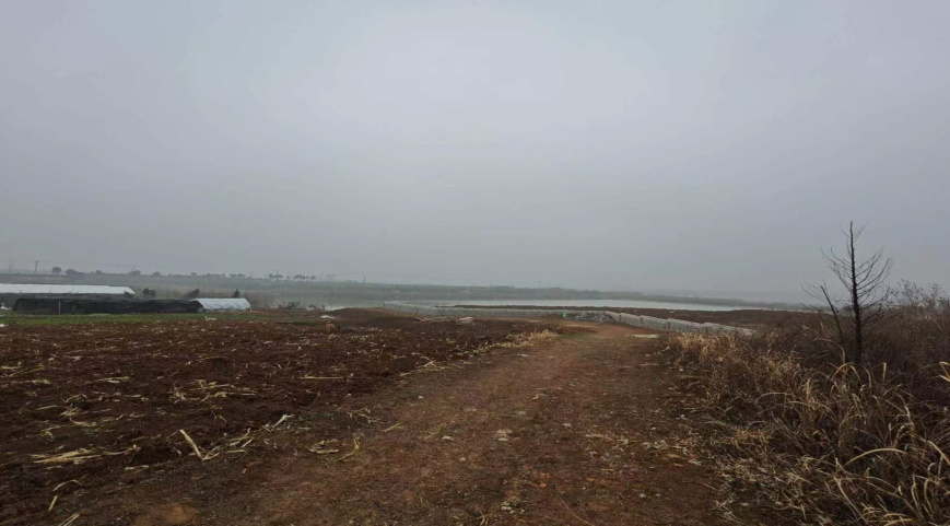 �Ϸ��u�N�@�ֹ������޹�˾���O��λ�ںϷ��з����h��ͤ��S���ٵ���@�����깤���Ј��rֵ�u��